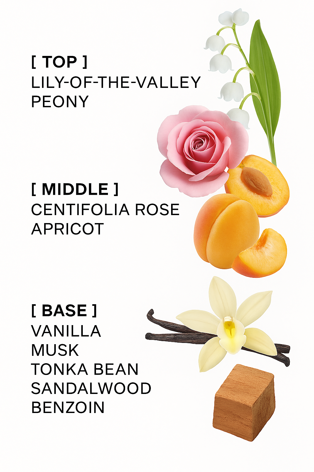 Rosy Rebel Inspired By Miss Dir