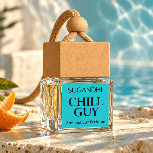 Chill Guy Inspired by BVLGARI Aqua Amara