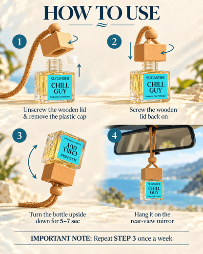 Chill Guy Inspired by BVLGARI Aqua Amara