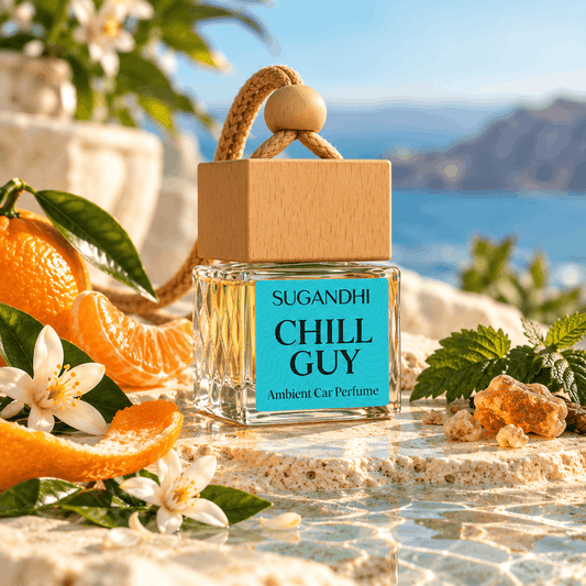 Chill Guy Inspired by BVLGARI Aqua Amara